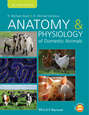 Anatomy and Physiology of Domestic Animals