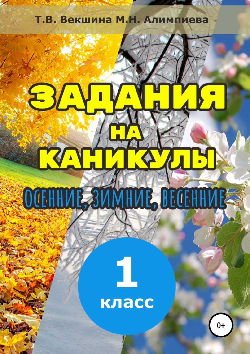 Задания на каникулы. 1 класс – Татьяна Владимировна Векшина – epub, mobi,  pobierz ebook online