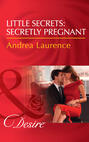 Little Secrets: Secretly Pregnant
